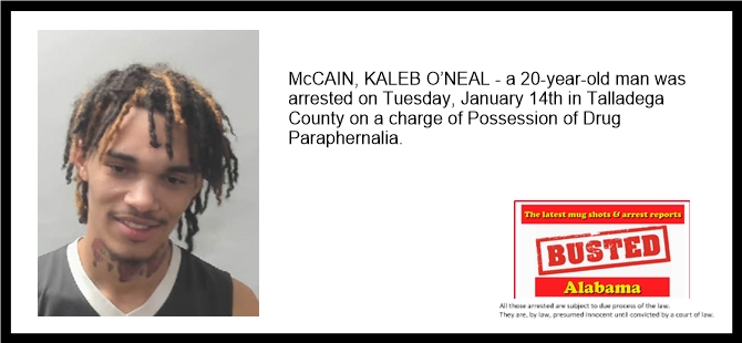 Talladega County – bustedalabama.com